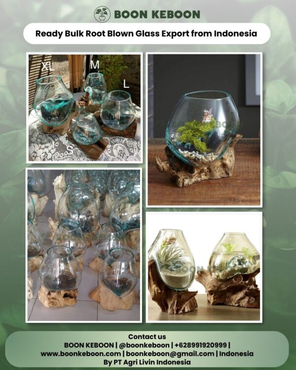 Ready Bulk Root Blown Glass Export from Indonesia