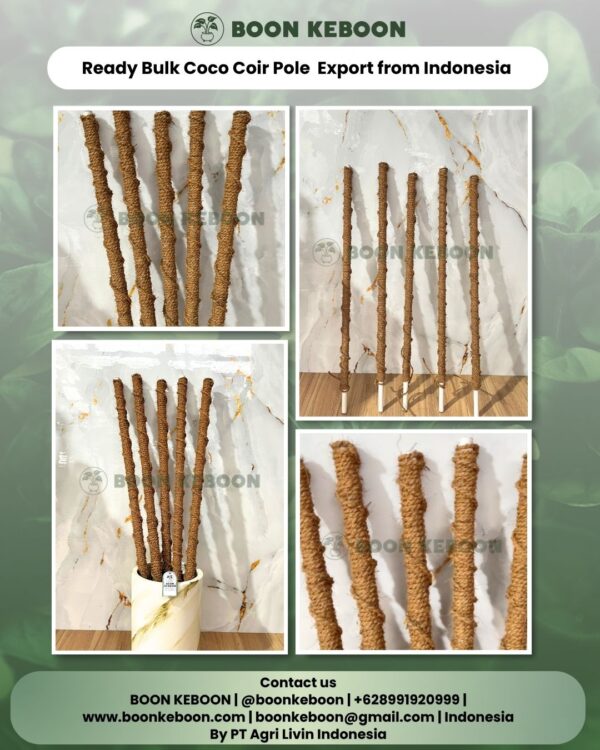 Ready Bulk Coco Coir Pole  Export from Indonesia