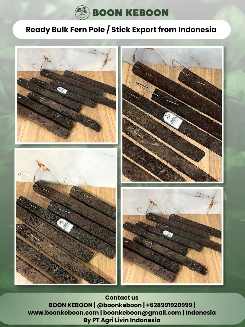 Ready Bulk Fern Pole / Stick Export from Indonesia