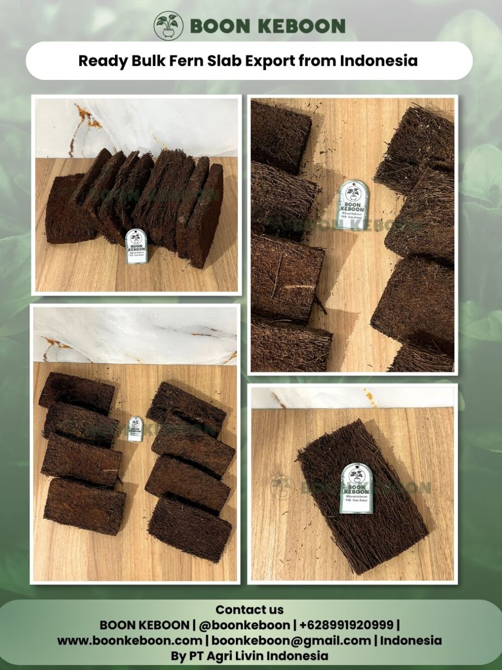 Ready Bulk Fern Slab Export from Indonesia