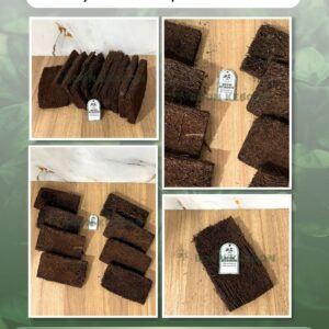 Ready Bulk Fern Slab Export from Indonesia