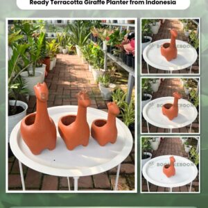 Ready Terracotta Giraffe Planter from Indonesia