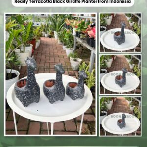 Ready Terracotta Black Giraffe Planter from Indonesia