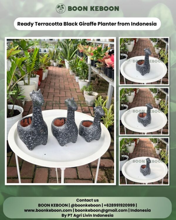 Ready Terracotta Black Giraffe Planter from Indonesia