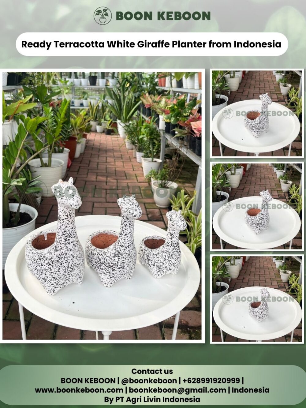 Ready Terracotta White Giraffe Planter from Indonesia